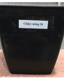 Chậu Vuông 26x26
